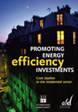 Book cover "Promoting Energy Efficiency Investments"